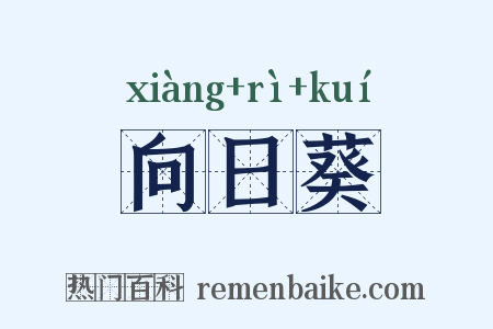 向日葵是什么意思的图片